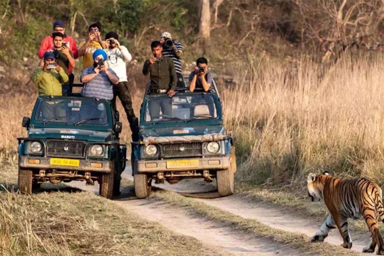 Corbett Group Tour Package